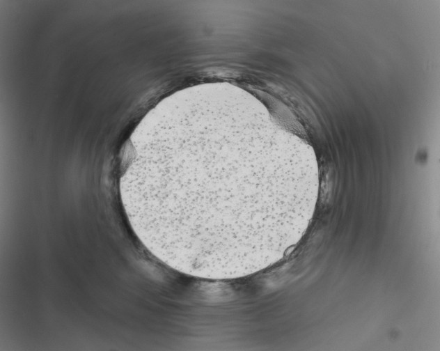 X0000116570424201001211247