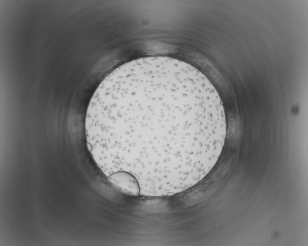 X0000116570426201001211247