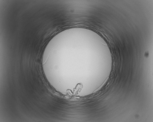 X0000116570427201001211247