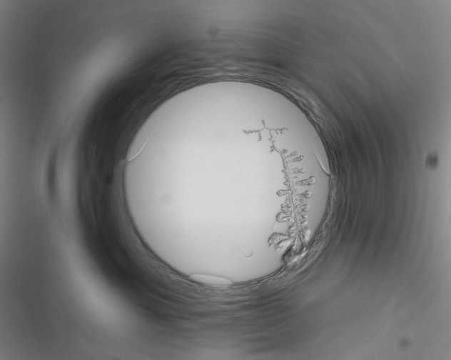 X0000116570429201001211247