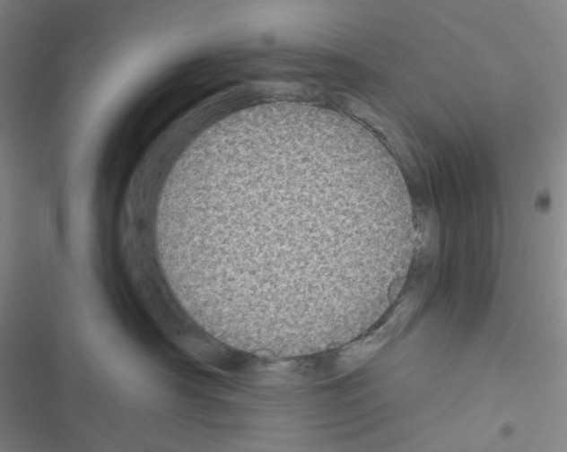 X0000116570430201001211247