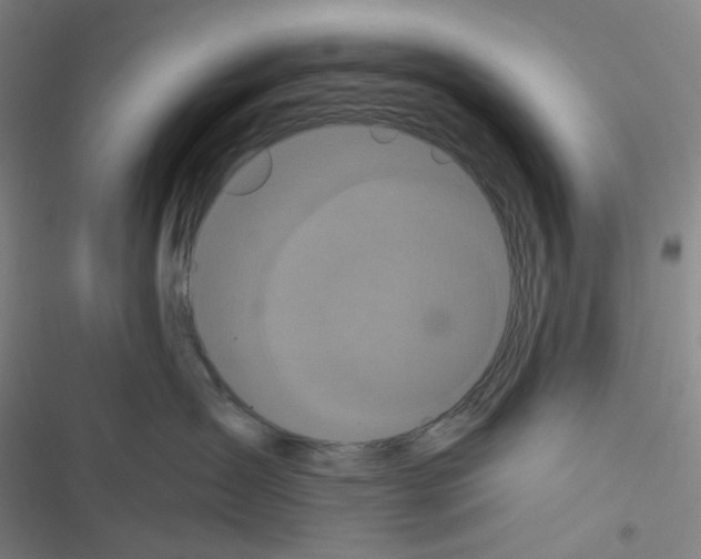 X0000116570431201001211247