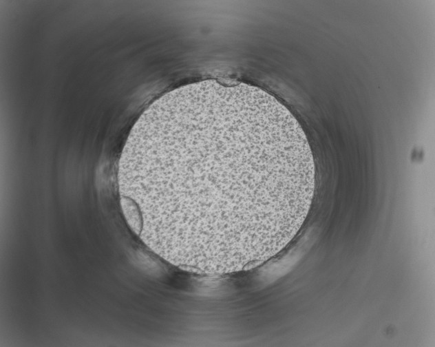 X0000116570432201001211247