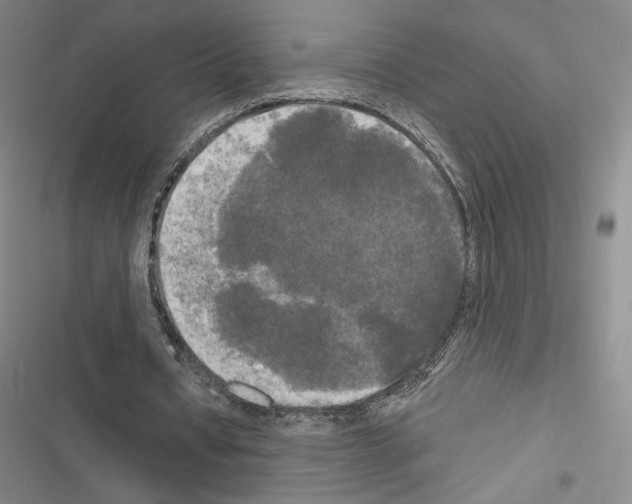 X0000116570434201001211247