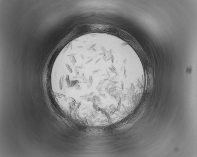 X0000116570435201001211247