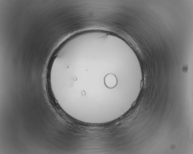 X0000116570436201001211247