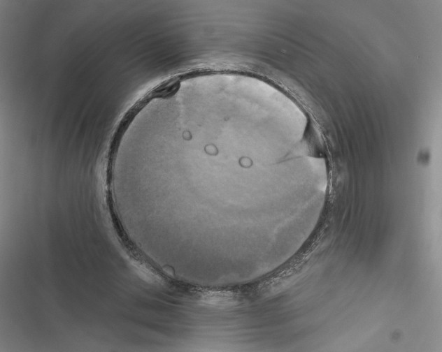 X0000116570438201001211247