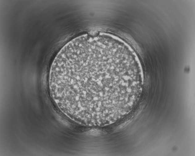 X0000116570441201001211247