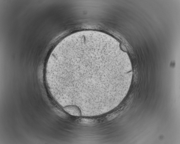 X0000116570442201001211247