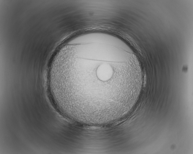 X0000116570444201001211247