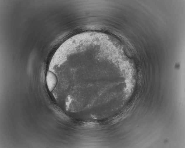 X0000116570446201001211247