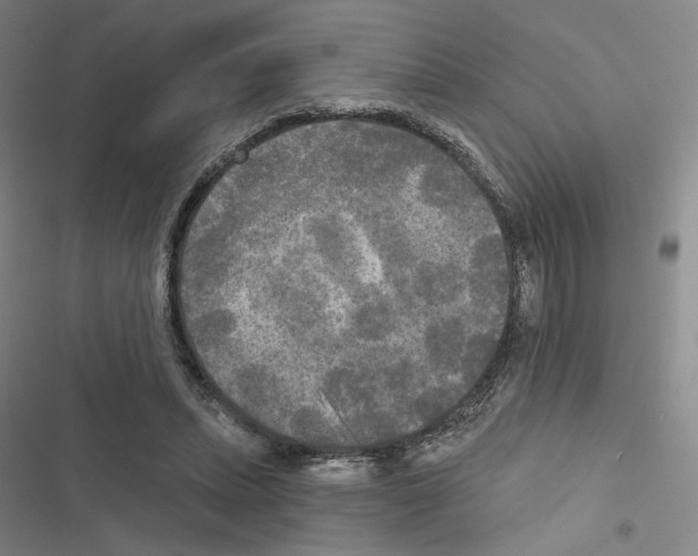 X0000116570447201001211247