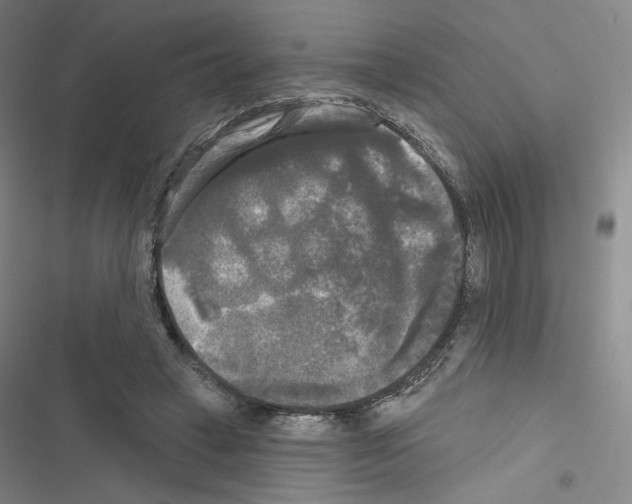 X0000116570449201001211247