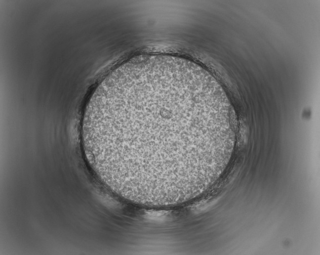 X0000116570450201001211247