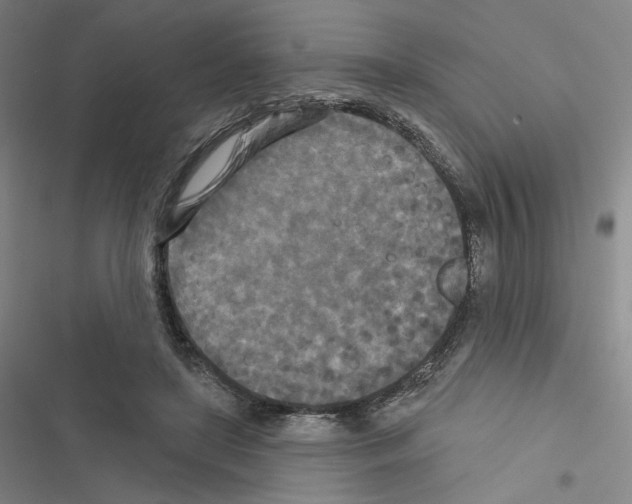 X0000116570451201001211247