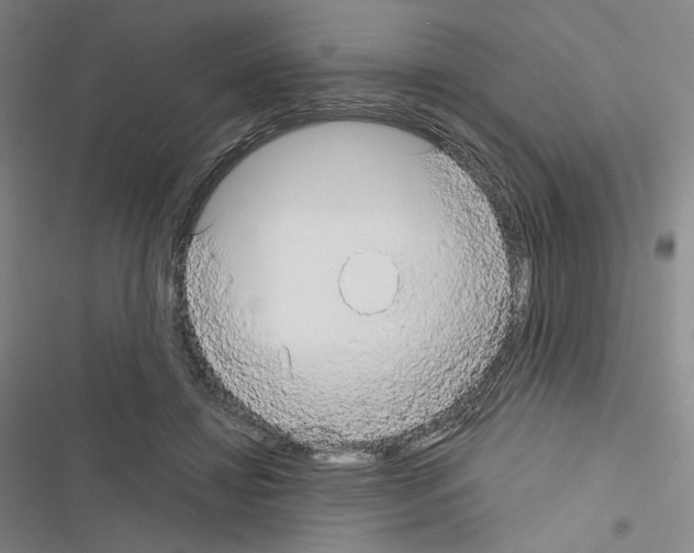 X0000116570452201001211247