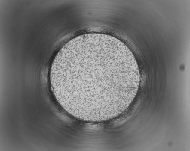 X0000116570454201001211247