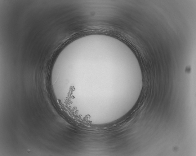 X0000116570456201001211247