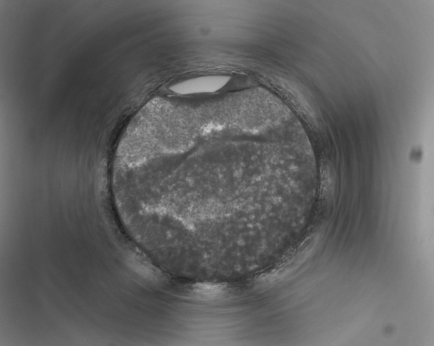 X0000116570457201001211247