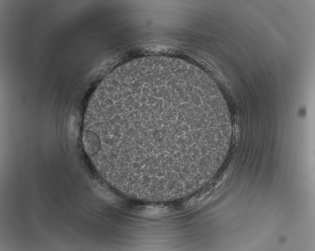 X0000116570458201001211247