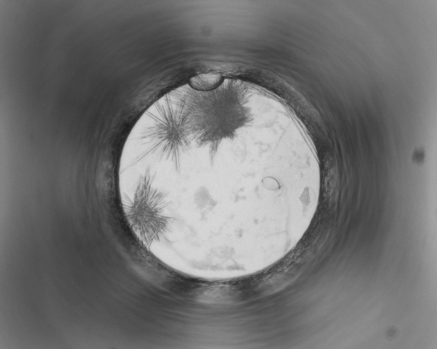 X0000116570459201001211247