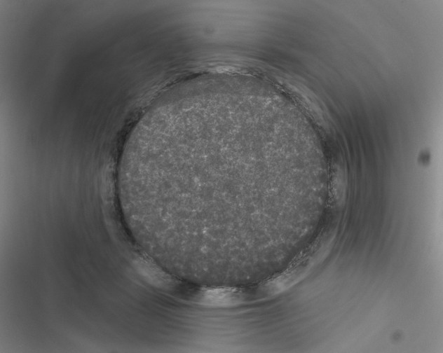 X0000116570461201001211247