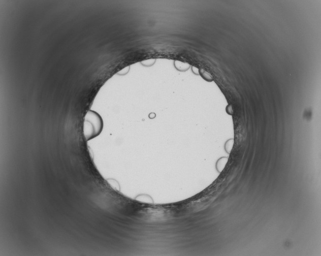 X0000116570464201001211247