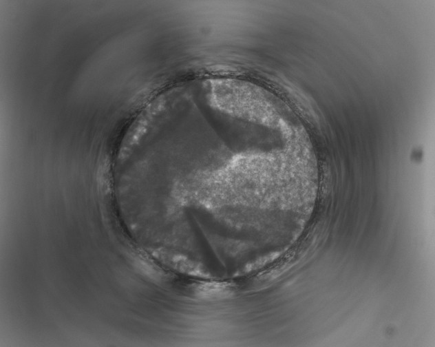 X0000116570465201001211247