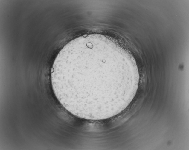 X0000116570466201001211247