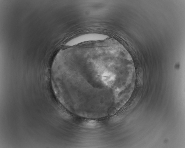 X0000116570467201001211247