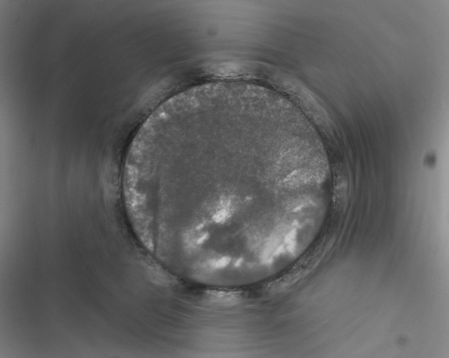 X0000116570469201001211247