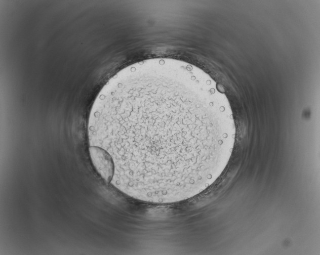 X0000116570470201001211247