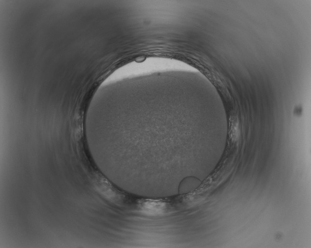 X0000116570471201001211247