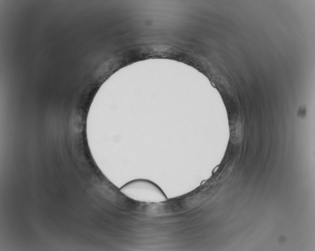 X0000116570472201001211247