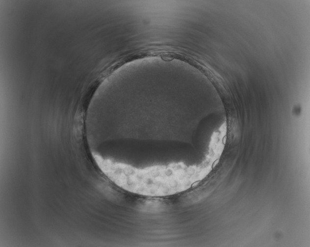 X0000116570475201001211247