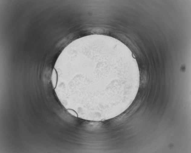 X0000116570478201001211247