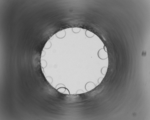 X0000116570480201001211247