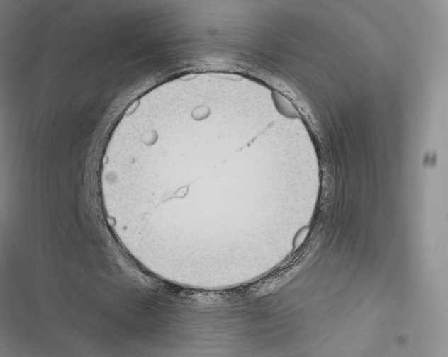 X0000116570481201001211247