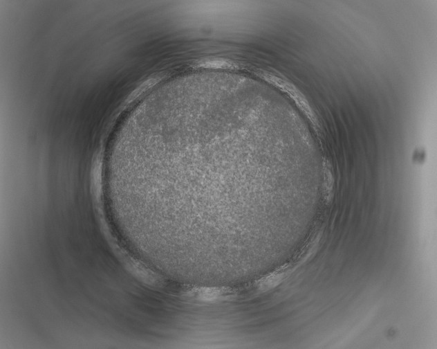 X0000116570482201001211247