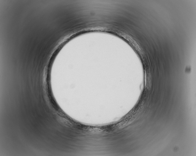 X0000116570483201001211247