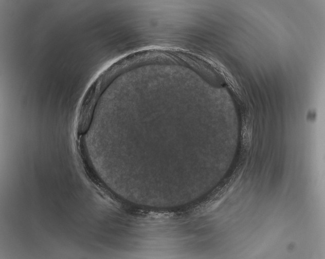 X0000116570484201001211247