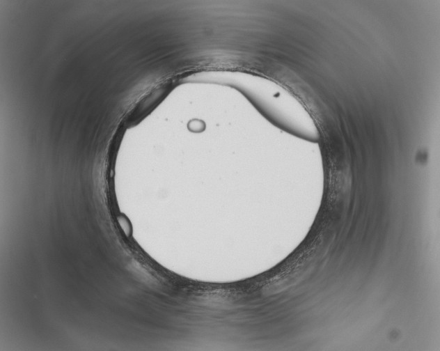 X0000116570485201001211247