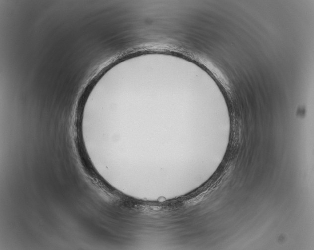 X0000116570486201001211247