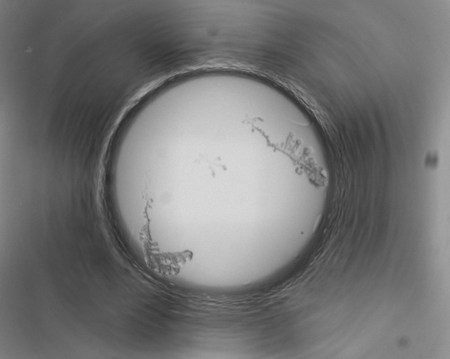 X0000116570488201001211247