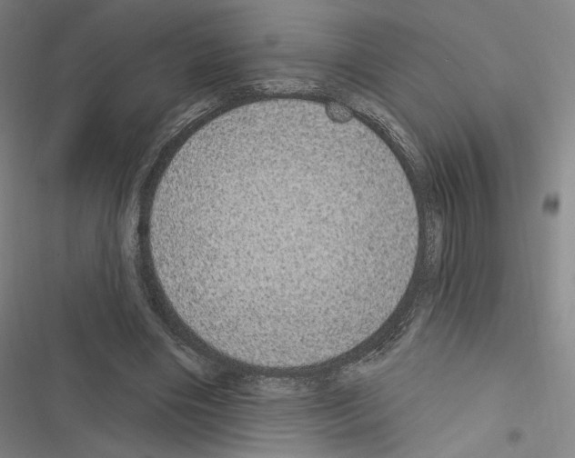 X0000116570490201001211247