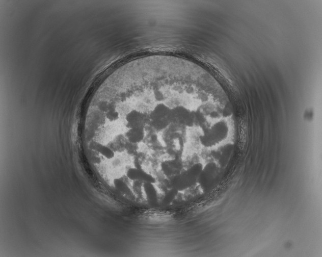 X0000116570491201001211247