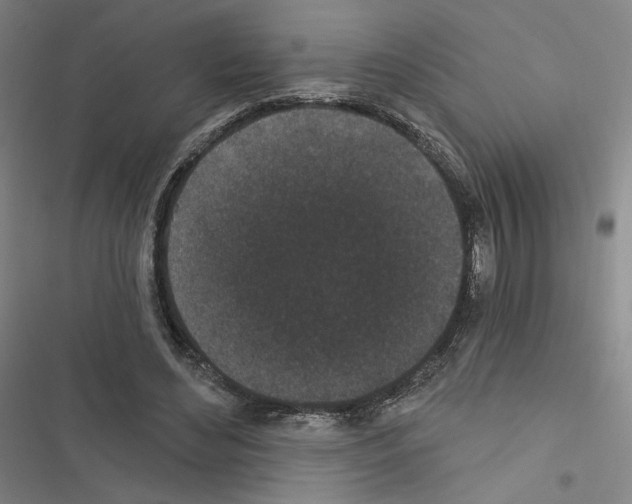 X0000116570492201001211247