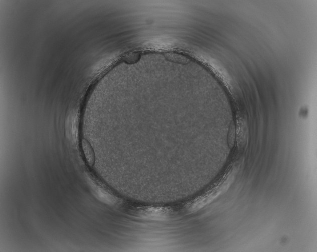 X0000116570493201001211247