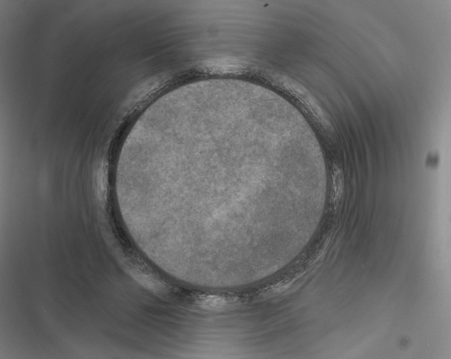 X0000116570494201001211247