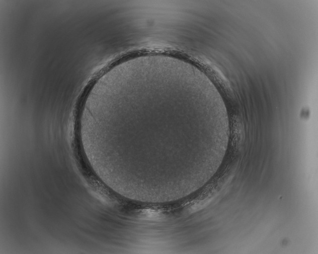 X0000116570496201001211246